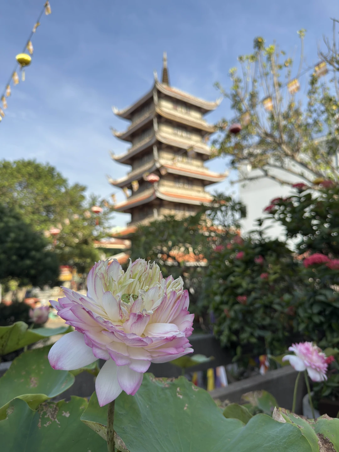 Благодарим за отличную экскурсию! Замучали экскурсовода вопросами - девушка на все очень подробно ответила и рассказала