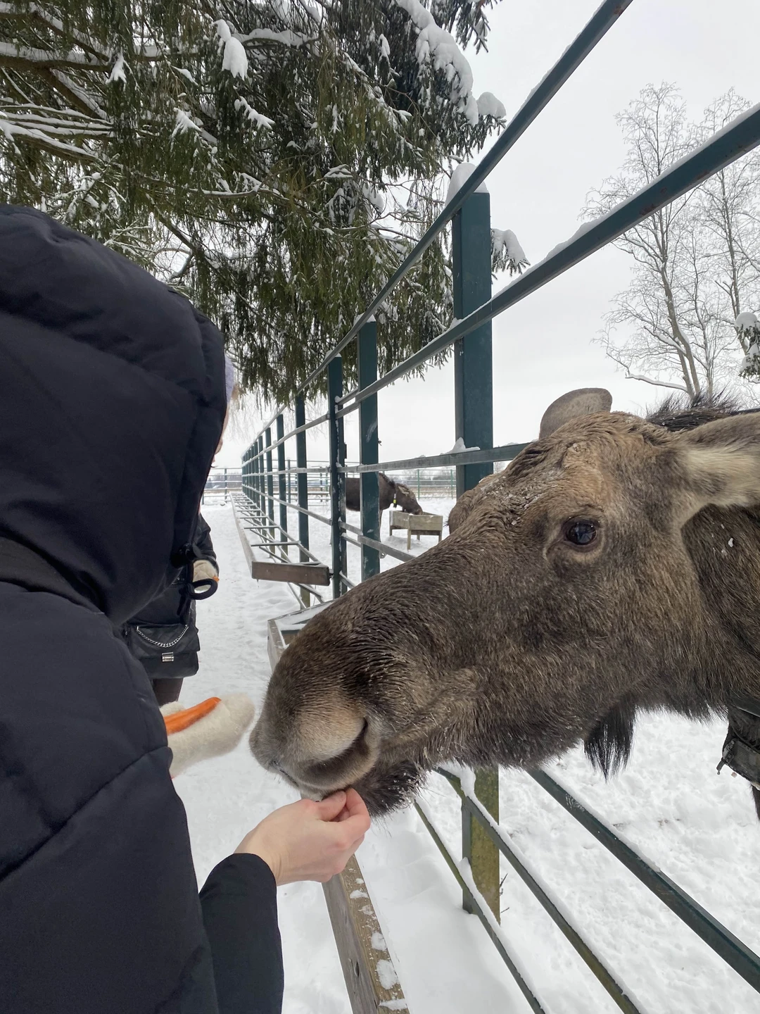 Замечательная экскурсия!!!