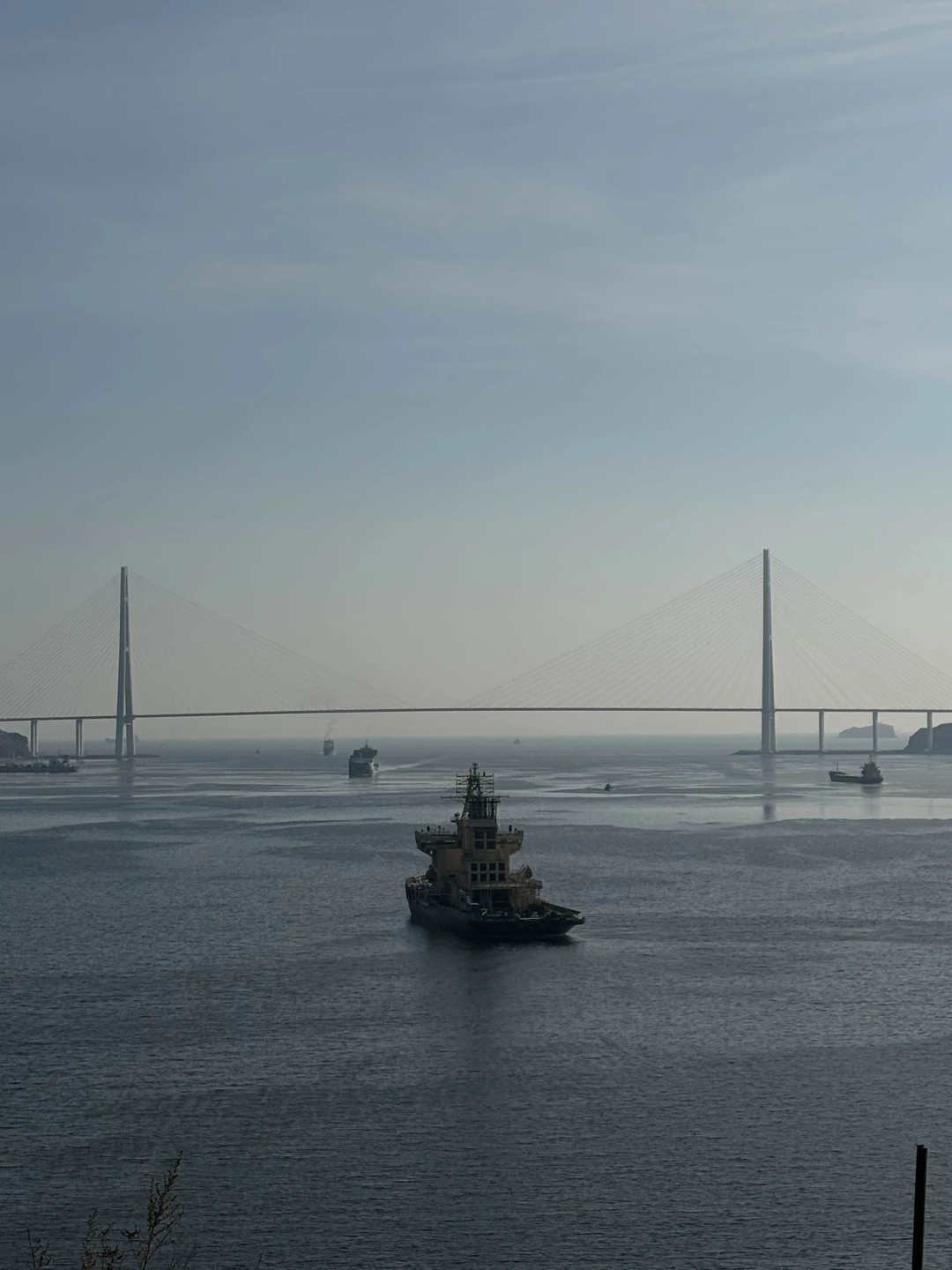 Отличная экскурсия по основным достопримечательностям Владивостока. Гид Людмила потрясающая. Спасибо большое!!