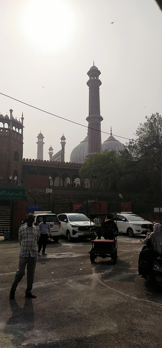 Очень интересная экскурсия. За один день успели осмотреть все основные достопримечательности Дели. Всё компактно, удобно и