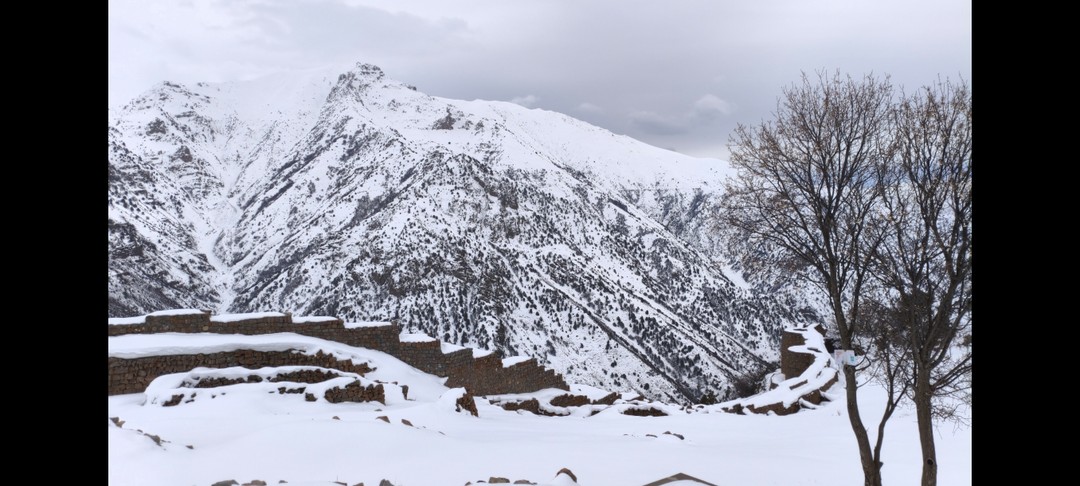 Посетил 06.03.2026 со своей девушкой и нам очень понравилось)