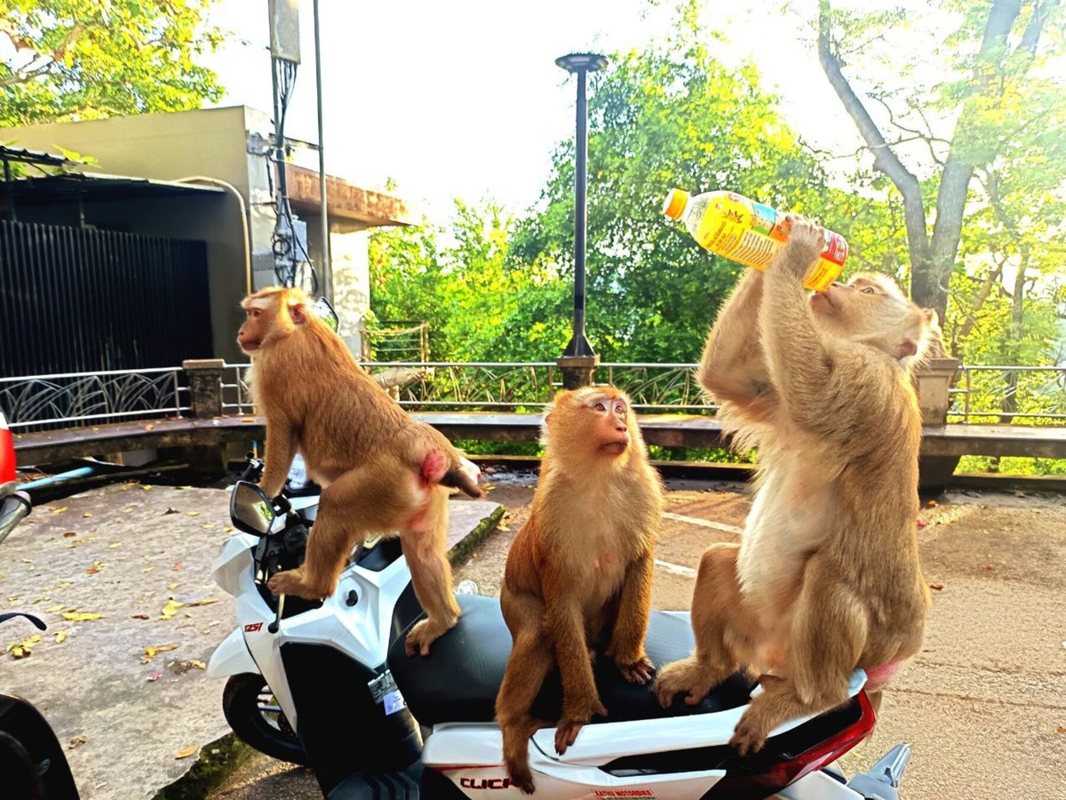 Фото Добро пожаловать на Пхукет!