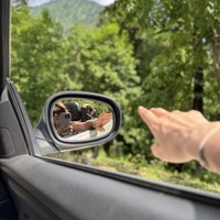 Фото отзыва 1: экскурсия "На кабриолете из Адлера к озеру Рица!"