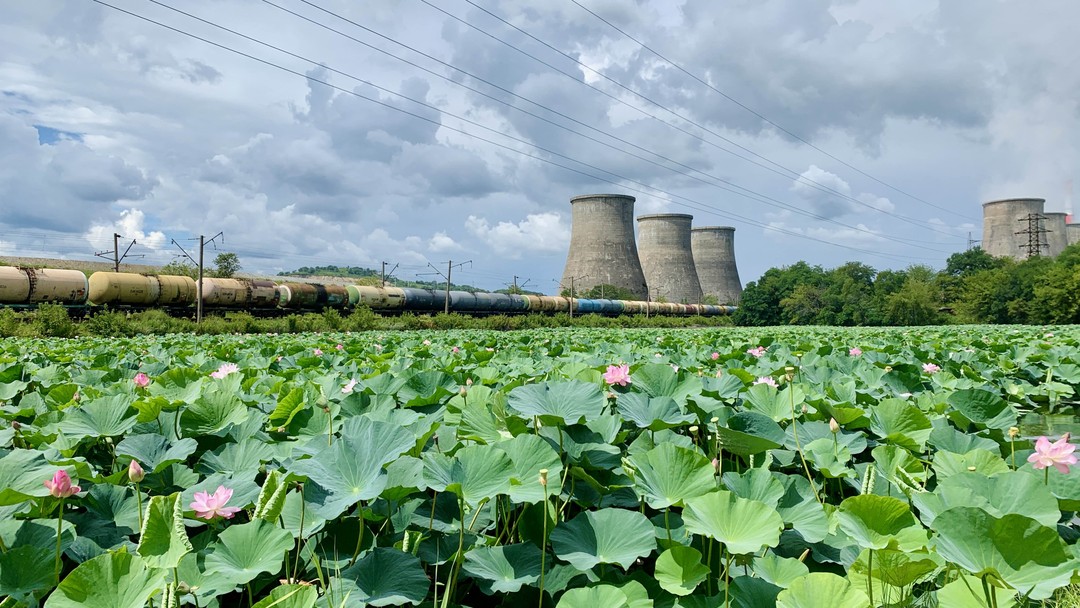 Сафари-парк и три бухты: Муравьиная, Шамора и Стеклянная (Максим)
