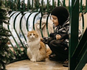 Терем Снегурочки, лосиная ферма