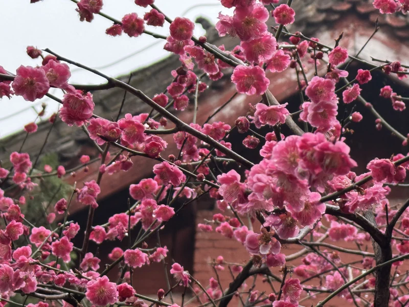 Все очень понравилось, все достопримечательности тура очень интересные и колоритные