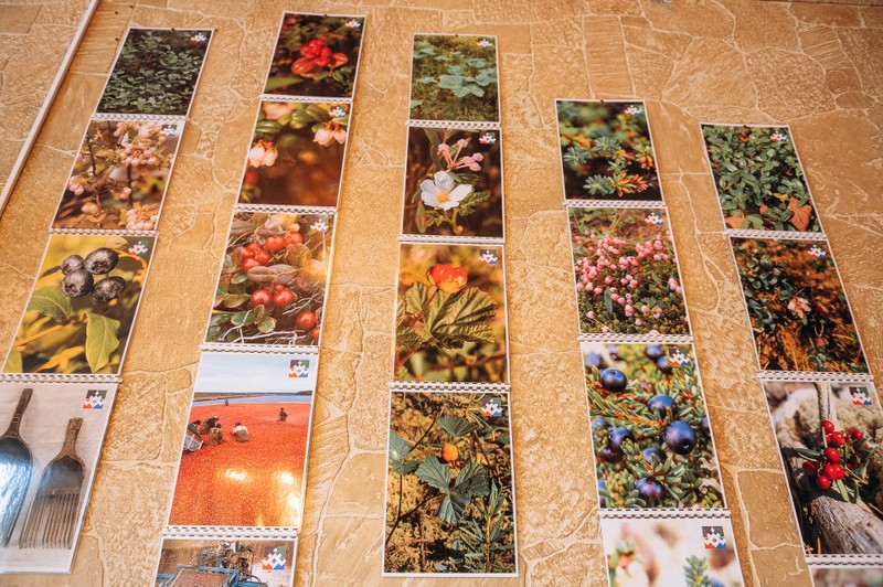 Виды Гастровстреча «Крепкая арктическая дегустация» + мастер-класс по изготовлению соуса