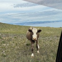 Фото путешественника — 7