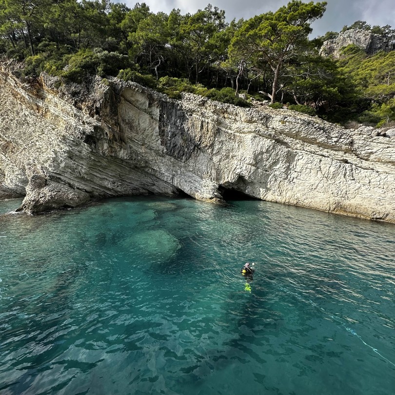 Спасибо огромное за организацию и новые впечатления! Очень красивые места, тёплая вода. Инструктаж на русском, английском
