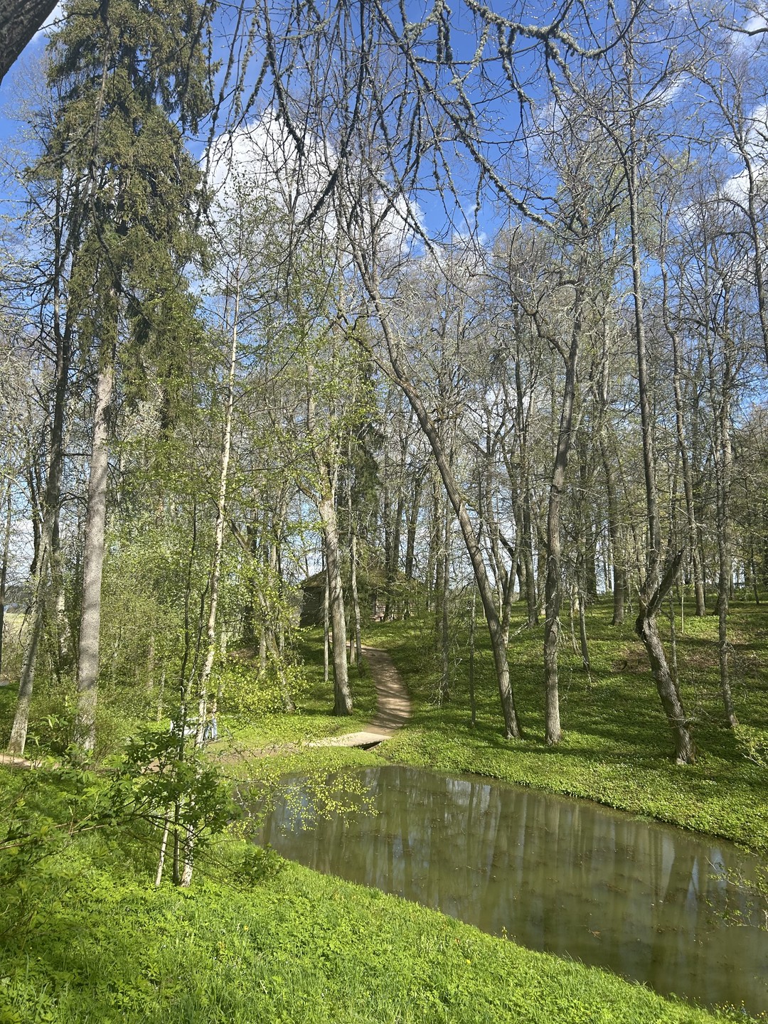 В Пушкинские Горы - в небольшой группе (Наталья)