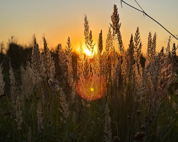 Заезд, вводная часть про технику ловли и рыбалка с берега