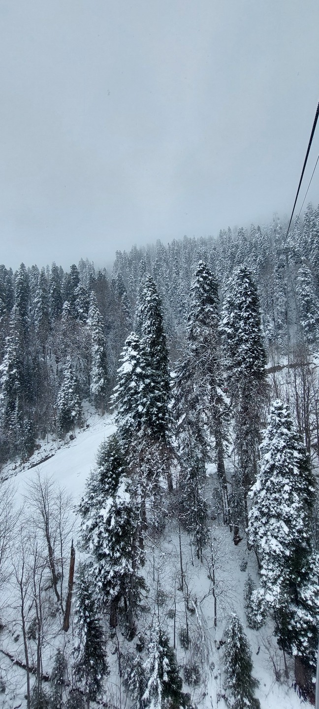 Это Швейцария? Это Домбай (Элина)