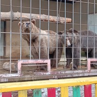 Фото отзыва 1: экскурсия "Семибратово — место рождения сказок и былин"