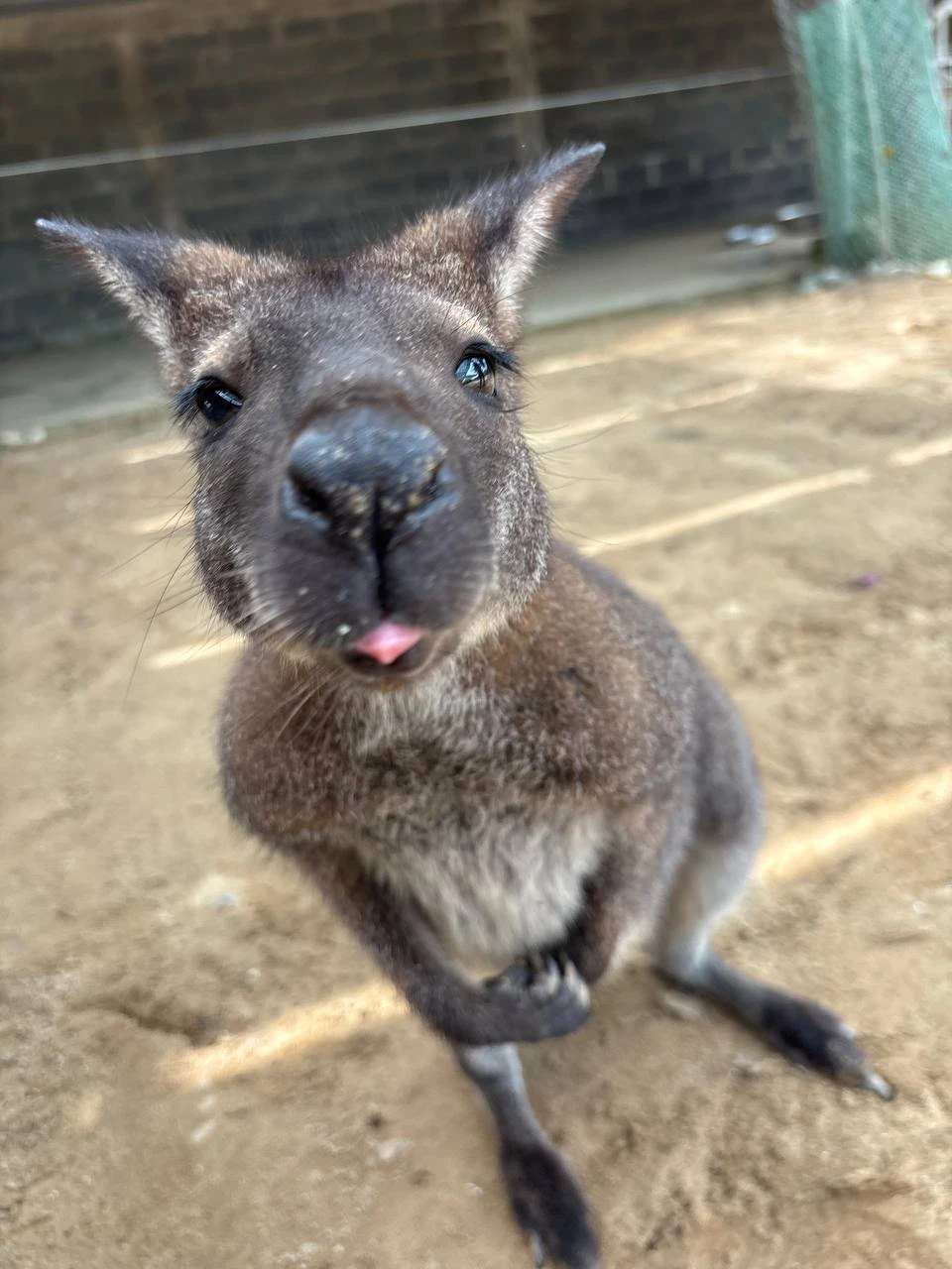 3 декабря 2025 года ездили с Вадимом на авторскую экскурсию в Фанранг. Экскурсия оставила самые положительные