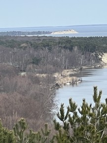 Фото отзыва 1: экскурсия "Куршская коса в мини-группе"
