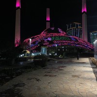 Фото отзыва 3: экскурсия "Ослепительные огни Чечни"