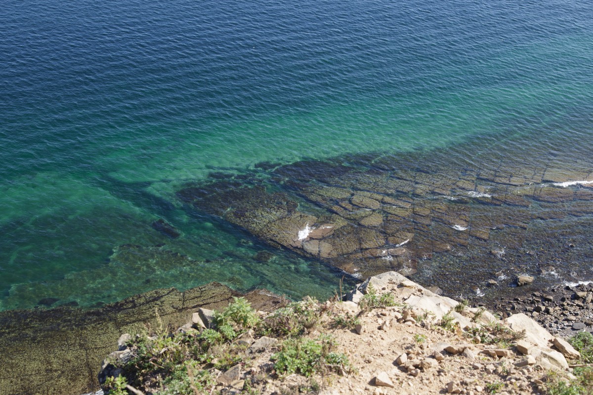 Владивосток и остров Русский: прогулка с фотографом (24/26)