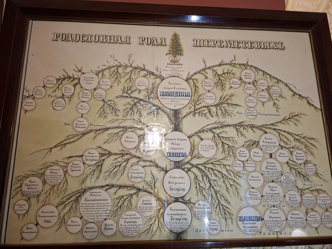 Ирина - настоящий профессионал. Нам очень повезло, что именно она стала нашим проводником в мир Фонтанного