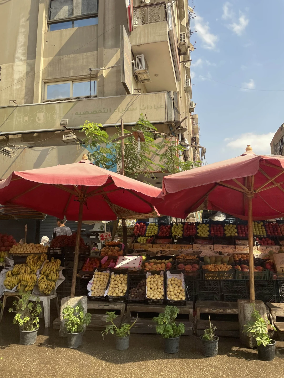 Большое спасибо за экскурсию, все очень понравилось!