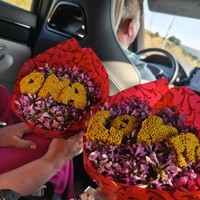 Фото отзыва 2: экскурсия "На электромобиле к тянь-шаньским горам — из Ташкента"
