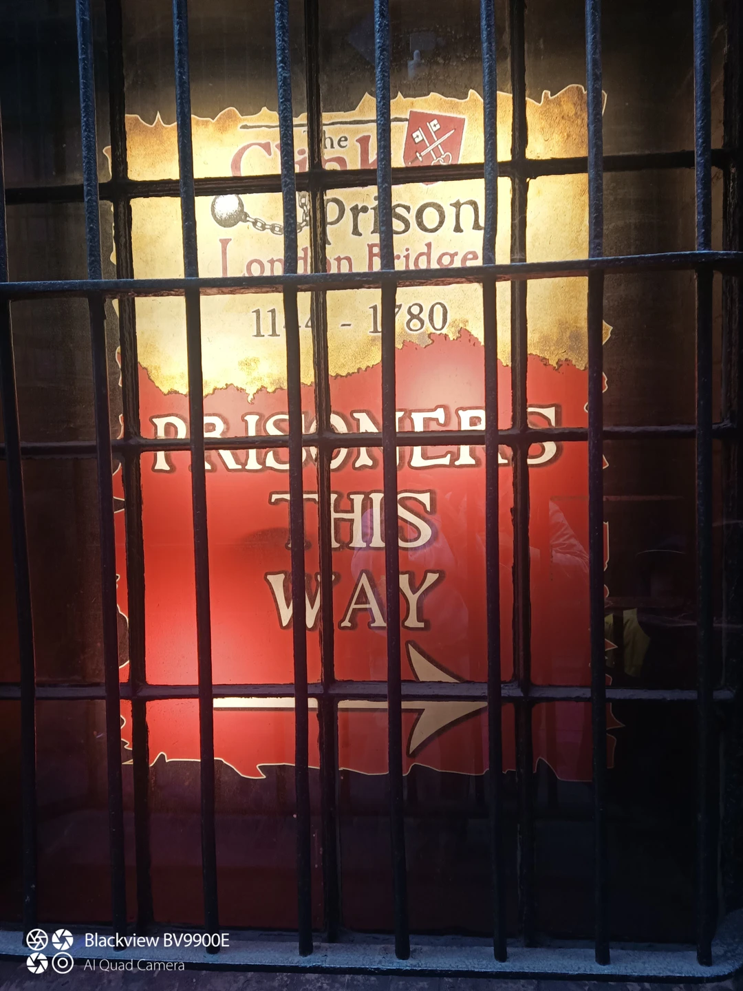 Очень понравилось! Проходили с детьми 11 и 13 лет, слушали с удовольствием.