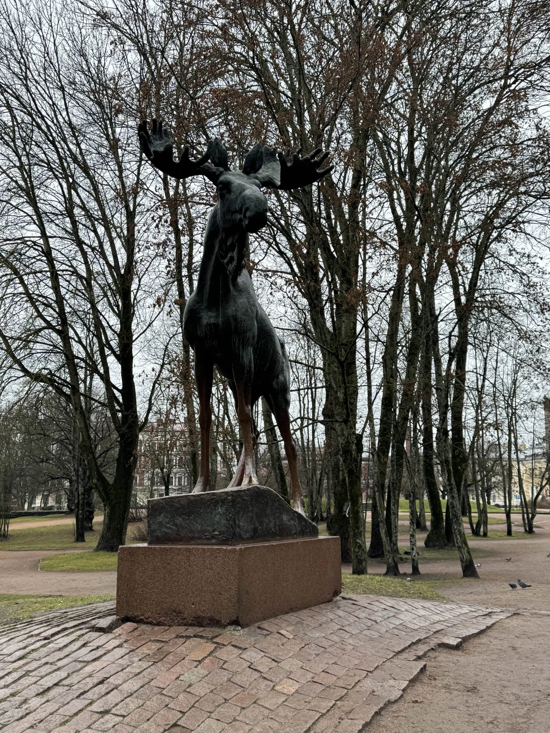 Наш экскурсовод Ирина - молодец! Очень интересно, необычно, достаточно полно. Надеемся посетить и другие места Выборга в ее компании. Kiitos