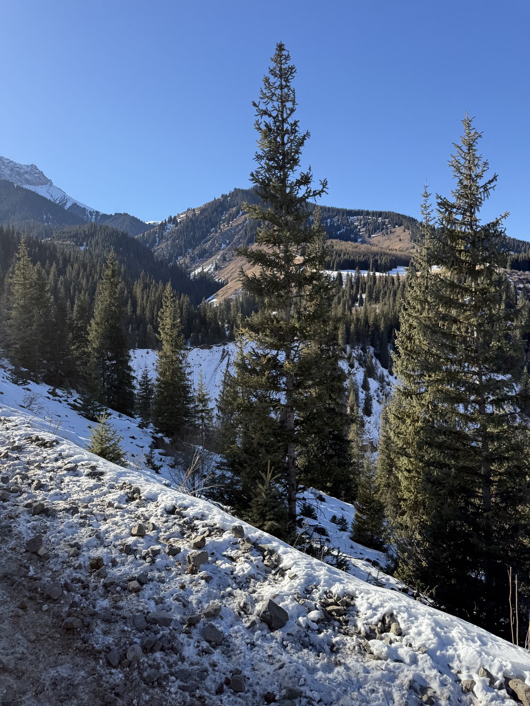 Алматинская классика: озёра Каинды и Кольсай, Чёрный и Чарынский каньоны (Галина)