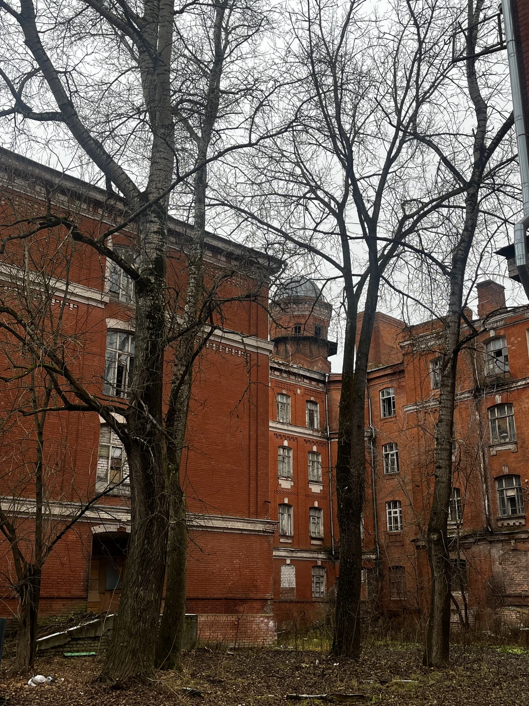 Какая прекрасная и интересная получилась прогулка! Осматривая здания мы познакомились с семьей Морозовых, через их семью