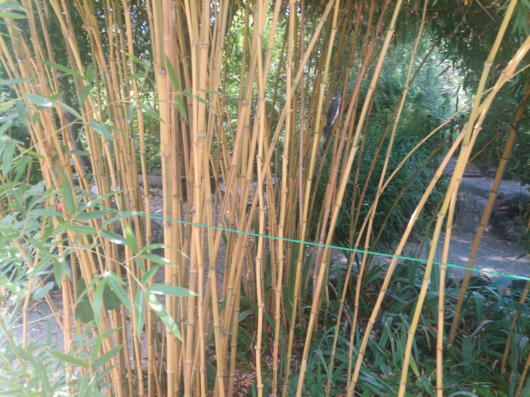 Водитель довез до винодельни, экскурсию проводил сотрудник винодельни. Шикарное место, красиво, необычно. Есть что посмотреть, где