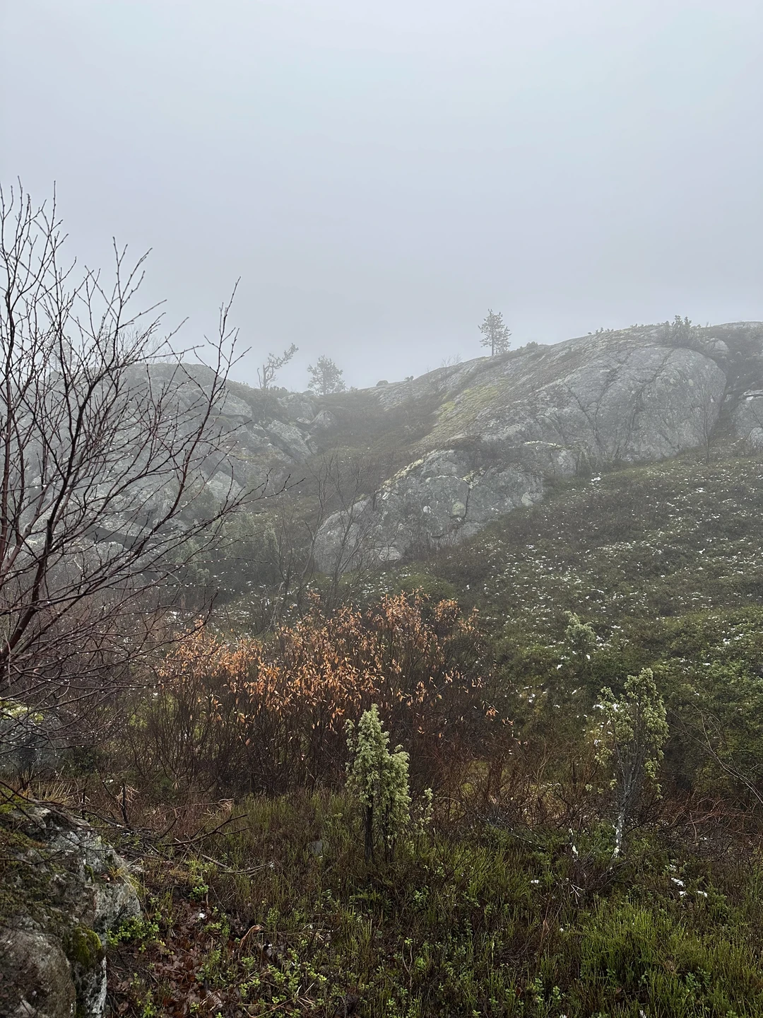 Провели прекрасный день с Оксаной и ее пушистым помощником Дюной на берегу Белого моря! Всё прошло