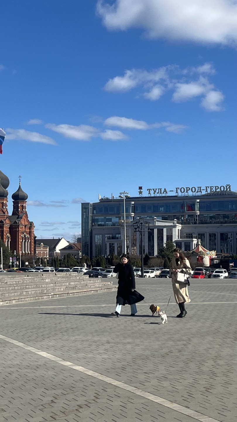 Сборная пешеходная экскурсия по историческому центру Тулы (Наталья)