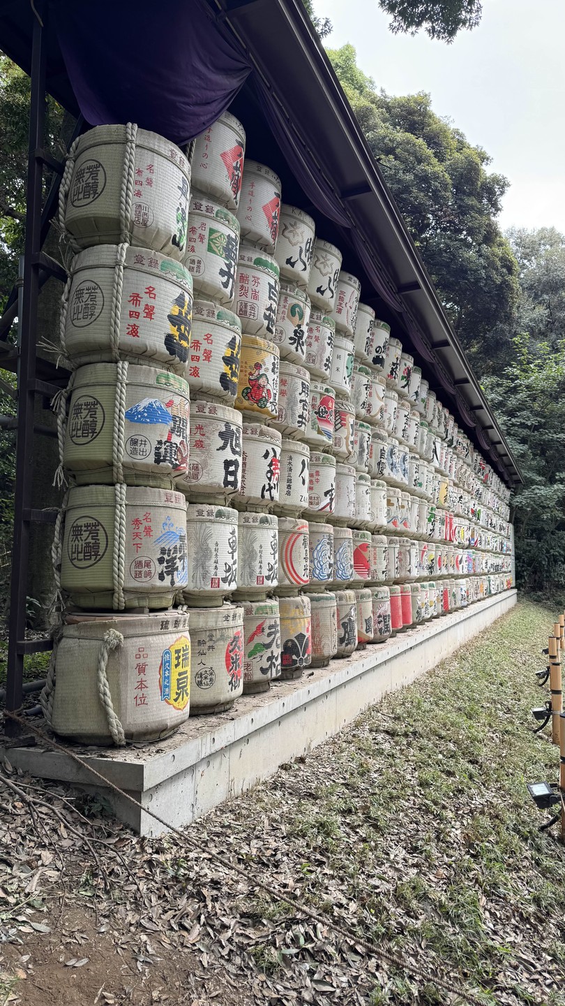 Шесть лиц и три сердца Токио (Евгений)