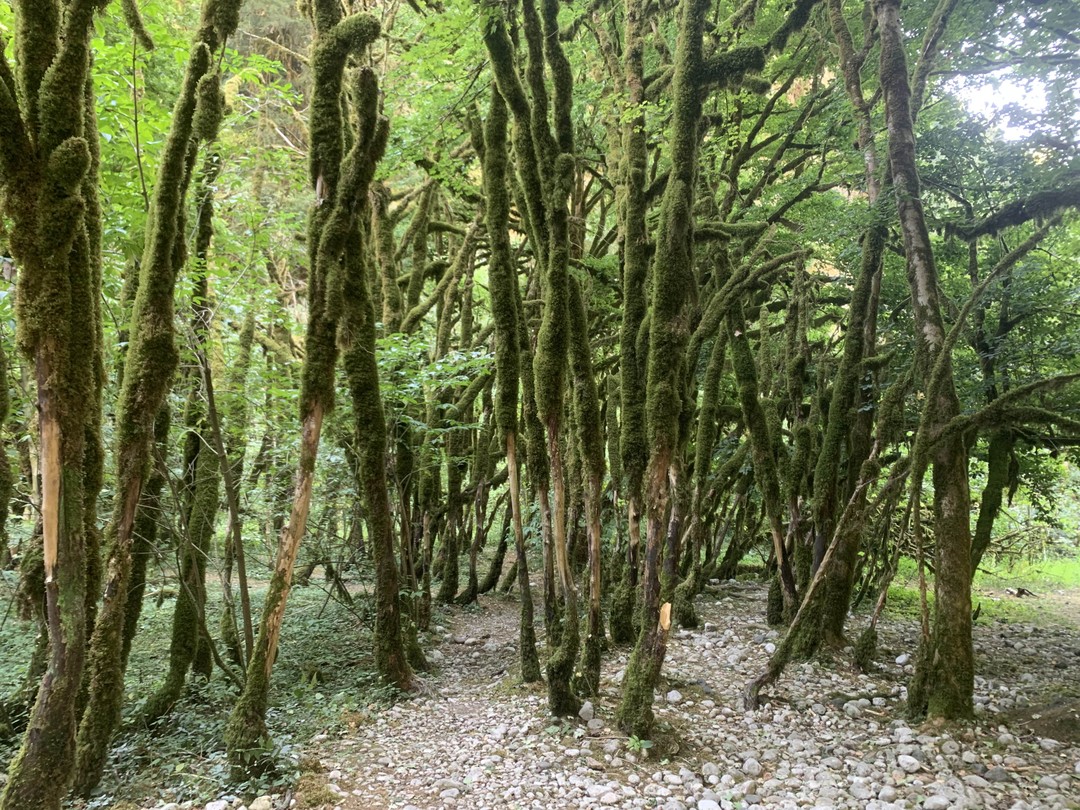 Путешествие понравилось. Поехали семьей, четыре человека. Накануне списались с организатором, потом уже поговорили по телефону с