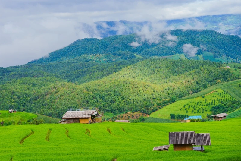 По Таиланду в мини-группе: 4 города, высокогорная деревня и национальный парк