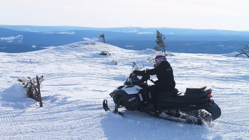 Снегоходный тур в нацпарке «Паанаярви» для новичков и профи (всё включено)