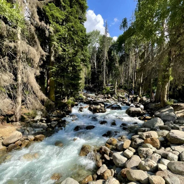 Нестандартная поездка в сказочный Домбай из Кисловодска