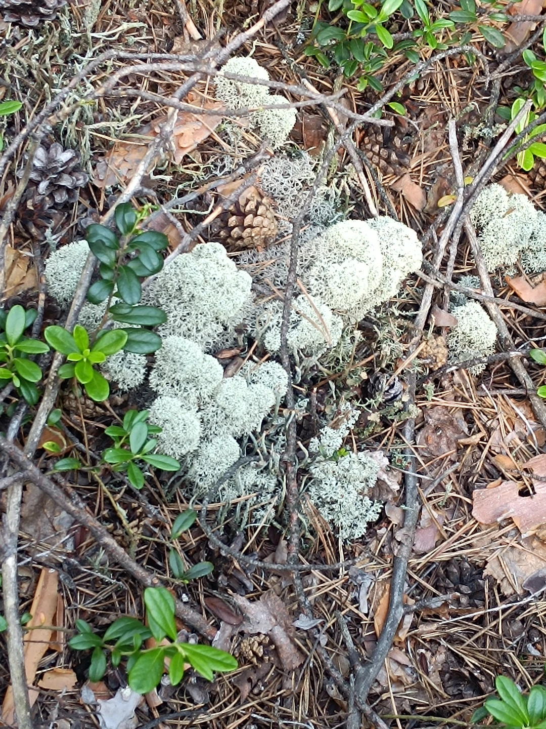Были на экскурсии с Алексеем мы с мужем и сыном 16 лет. Каждому из нас было