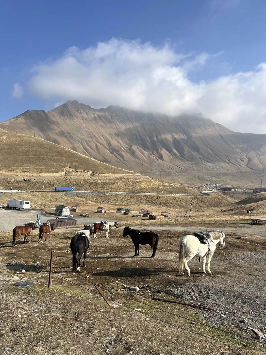 Зураб провел замечательную экскурсию по одним из самых живописных мест Грузии. Пейзажи за окном невероятно радовали