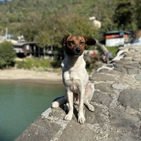Отзыв о экскурсии "С ветерком по Аджарии из Батуми: водопад, руины и застолье" — фото 6