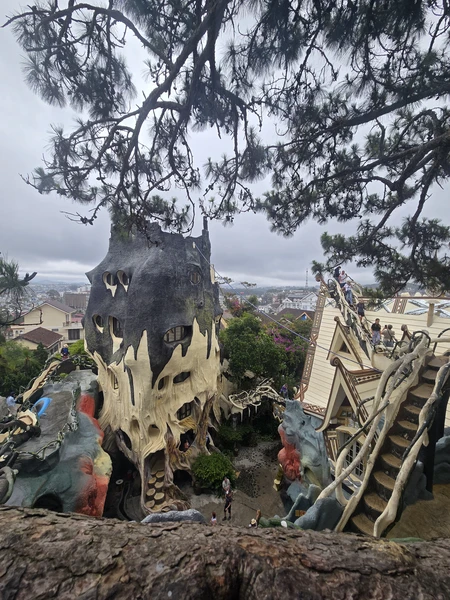 Экскурсия в Далат проходила с гидом Иваном. Организация чёткая по таймингу. Локаций много, все что хотели