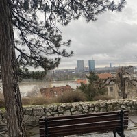 reviews img