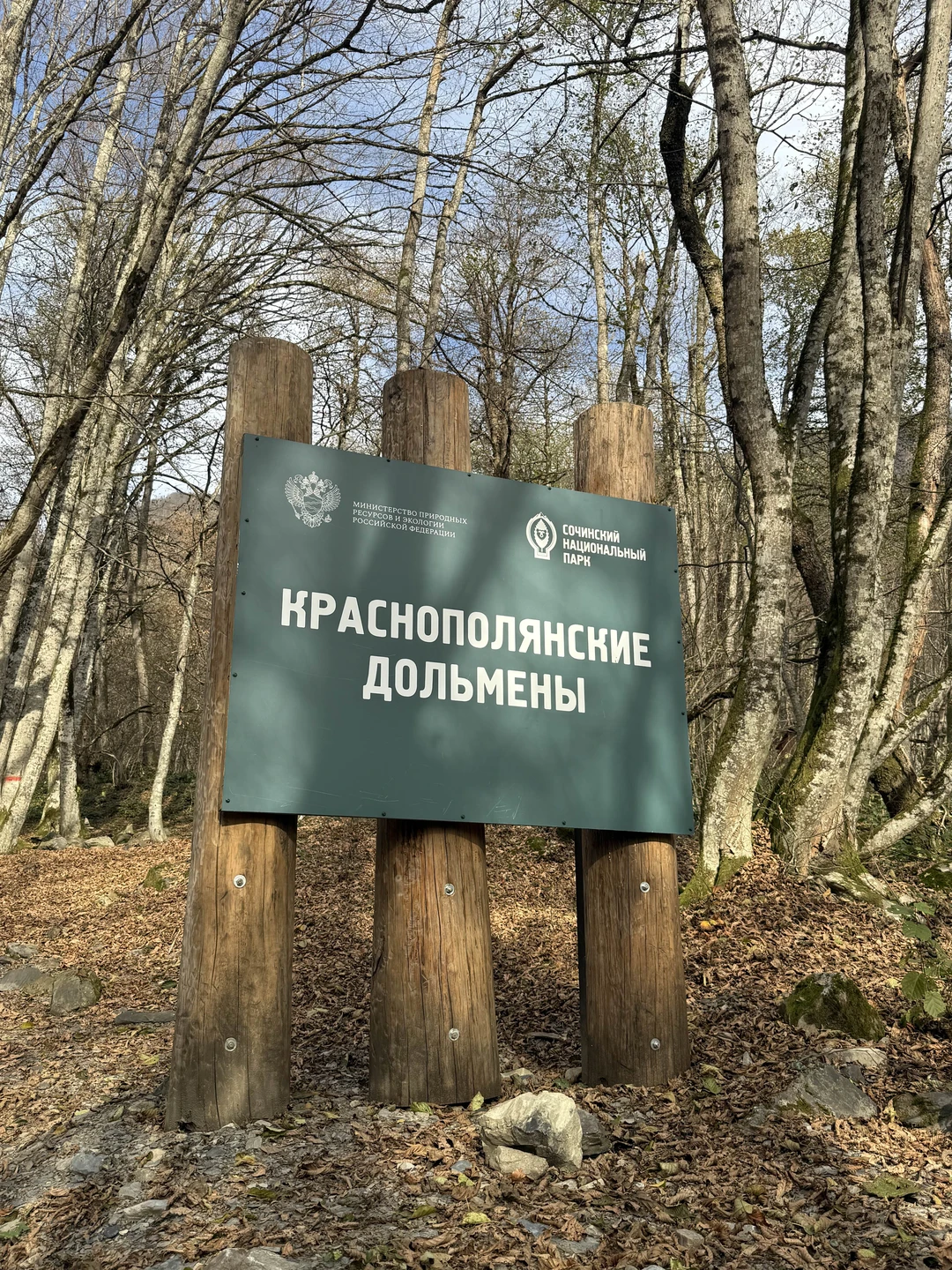 У нас был экскурсовод Дмитрий, все очень понравилось, без него мы бы столько всего не посмотрели