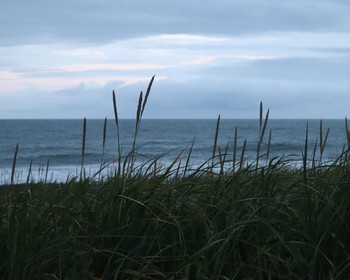 Халактырский пляж, Тихий океан, мыс Маячный и скалы Три брата