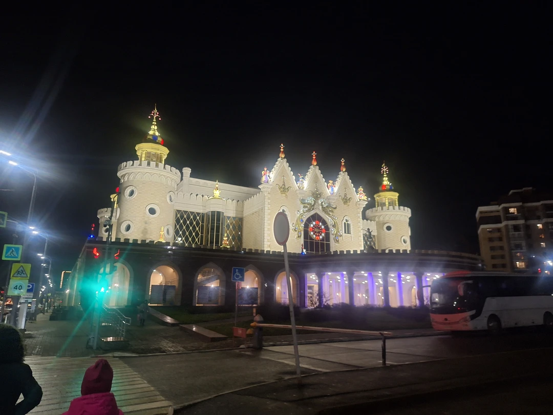 Все супер. Отличный экскурсовод,отличная экскурсия,комфортабельный автобус. всем рекомендую. огни вечерней Казани неописуемо