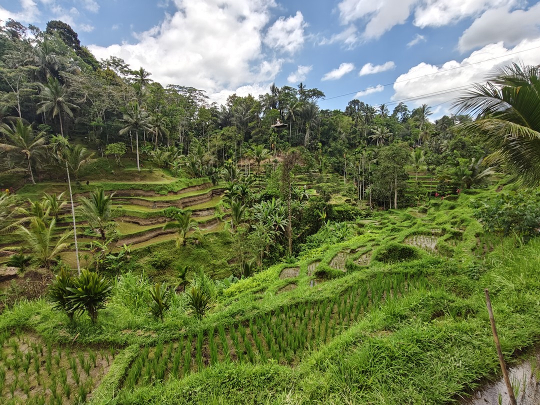 Обзорное путешествие по Бали (Ирина)