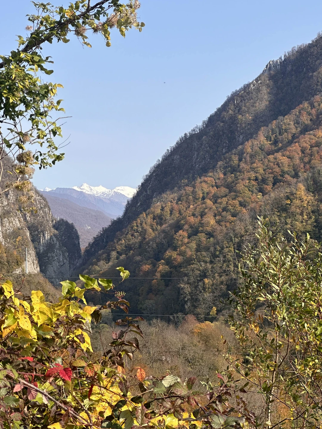 Хочу выразить огромную благодарность за прекрасно организованную экскурсию! Программа включала три курорта — Роза Хутор, Газпром