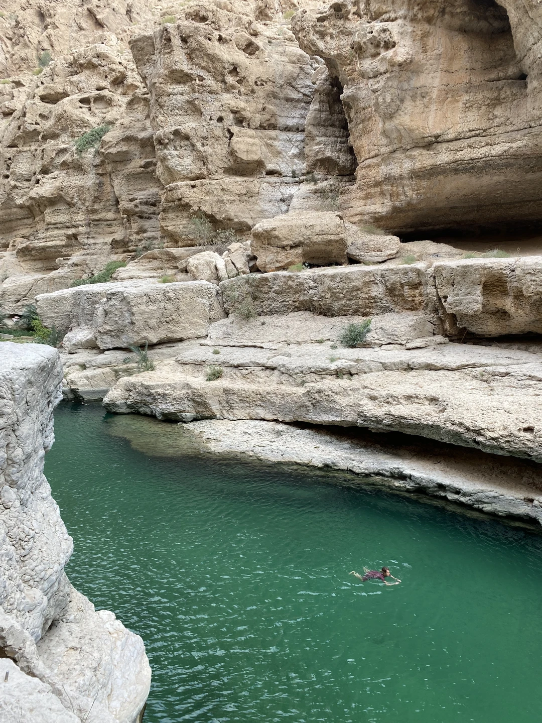 Мы (семья из 3 человек, двое взрослых и сын 11лет) провели весь день с Данилой, с