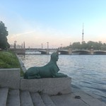 Стелла