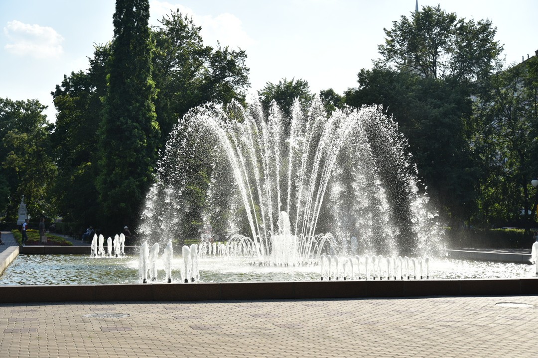 Воронеж - город мировой истории (Юлия)