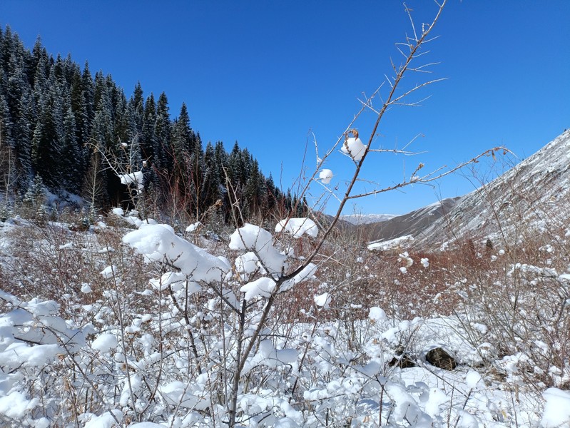 Несмотря на насыщенность программы, экскурсия очень понравилась. Спасибо организаторам и году Эльмире